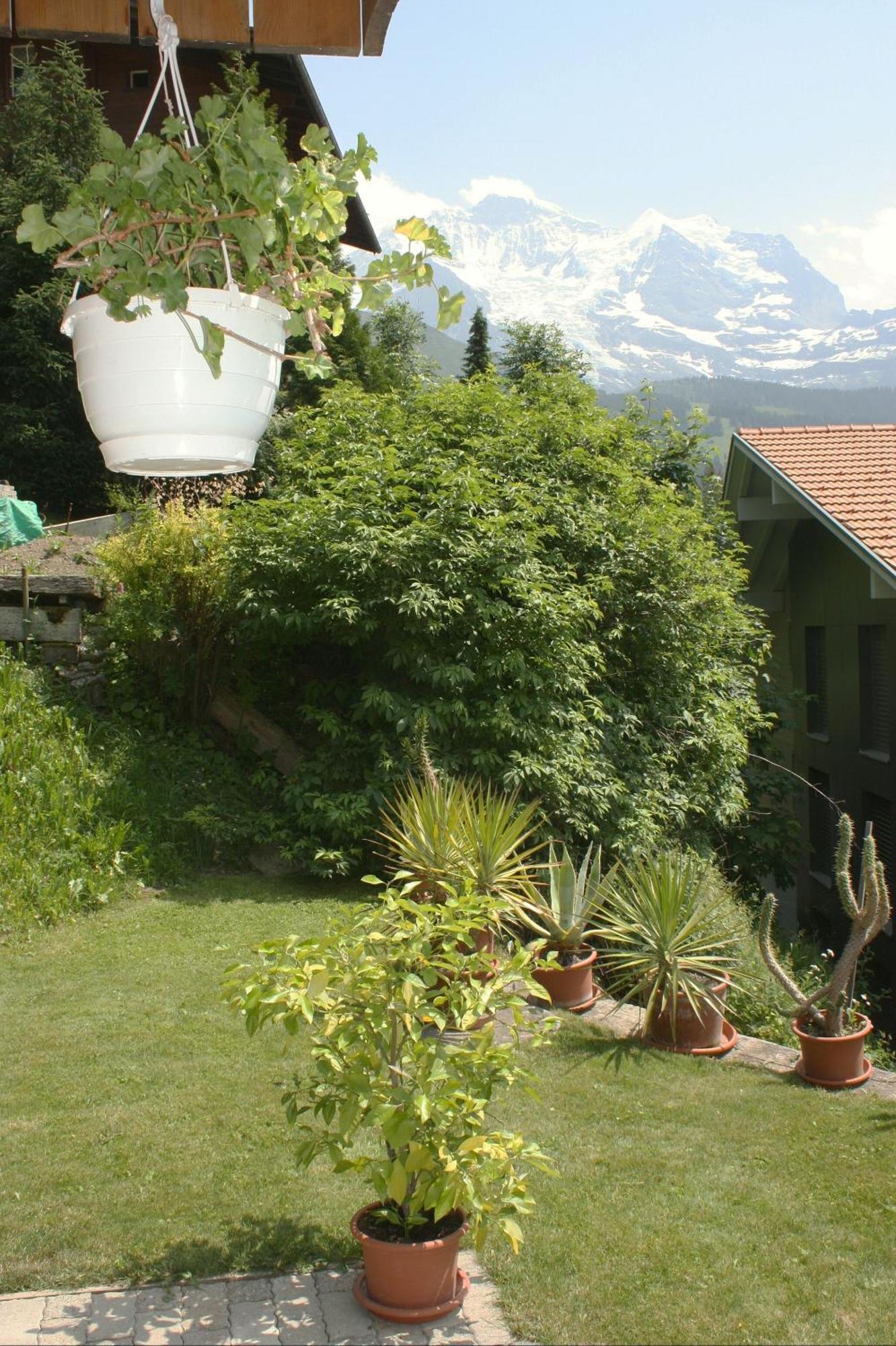 Chalet Protea Венген Экстерьер фото